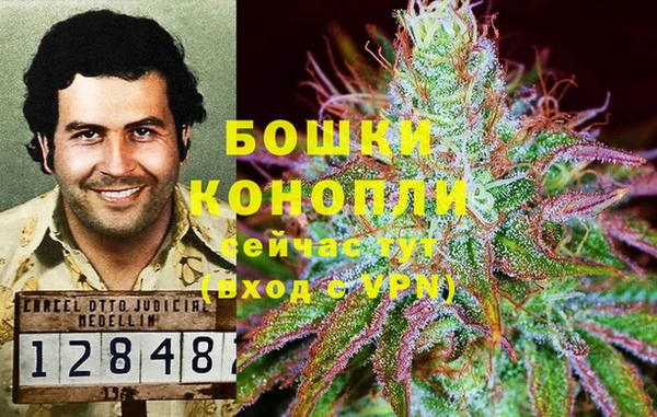 MESCALINE Богородицк